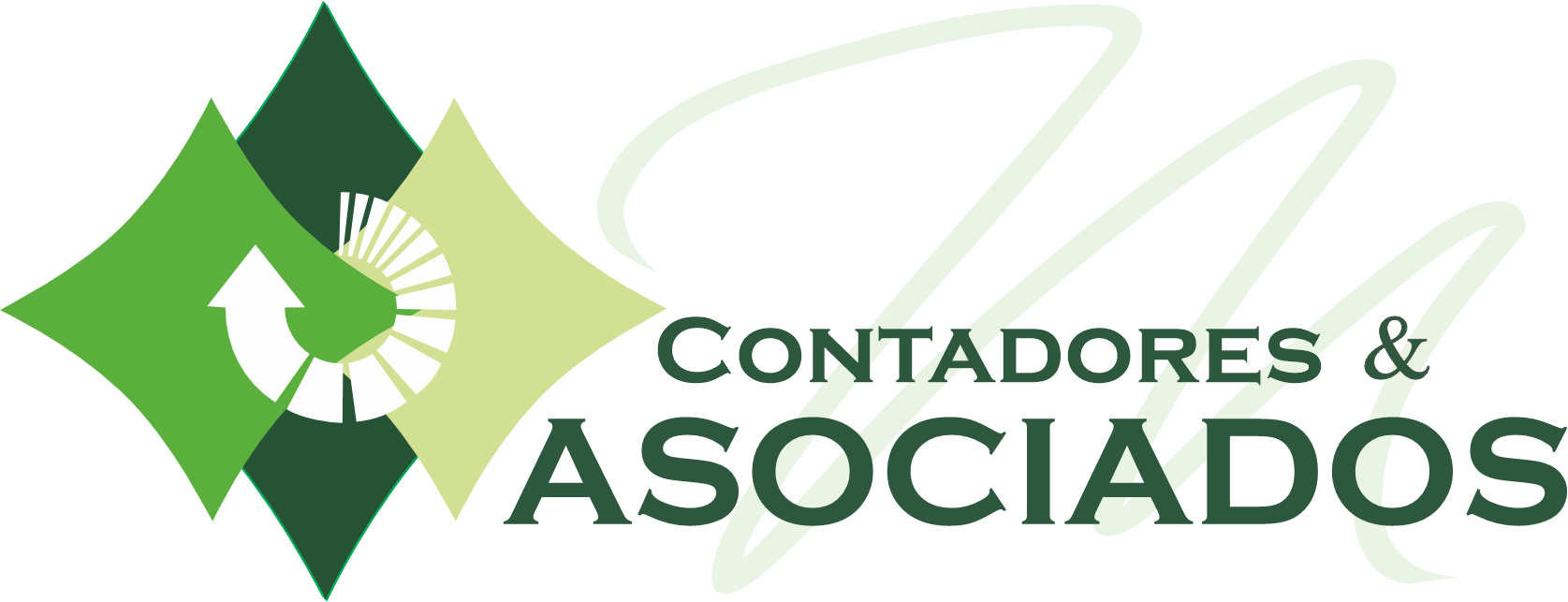 CONTADORES & ASOCIADOS M SAC